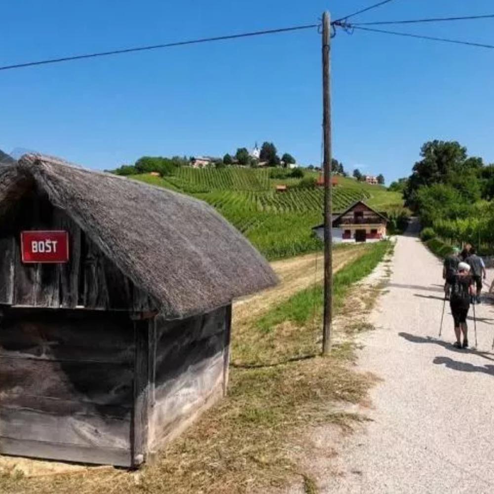 POSAVSKI FESTIVAL POHODNIŠTVA 2026: VIDOVA POT